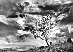 Szary + Sepia