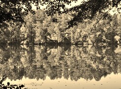 Szary + Sepia