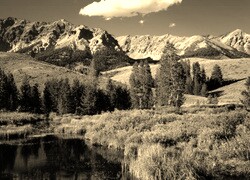 Sepia