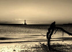 Sepia