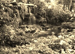 Sepia
