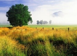 Oryginalny obrazek