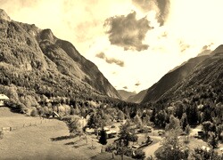 Szary + Sepia
