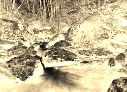 Sepia + Negatyw