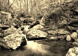 Sepia
