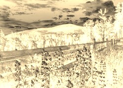 Sepia + Negatyw