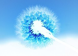 Negatyw