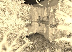 Sepia + Negatyw