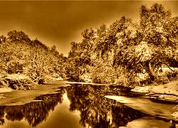 Sepia