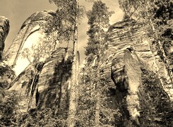 Szary + Sepia