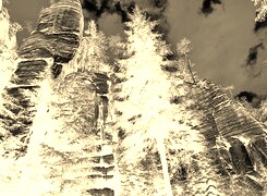 Sepia + Negatyw