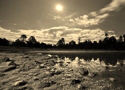 Sepia