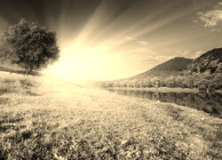 Sepia