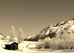 Szary + Sepia