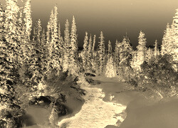 Sepia + Negatyw