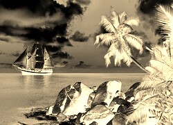 Sepia + Negatyw