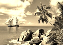 Szary + Sepia