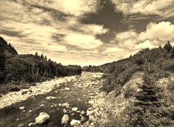 Szary + Sepia