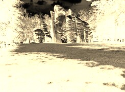 Sepia + Negatyw