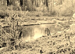 Szary + Sepia