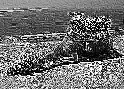 Skamielina