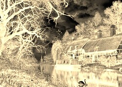Sepia + Negatyw