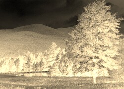 Sepia + Negatyw