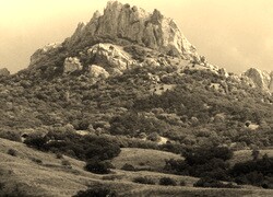 Szary + Sepia