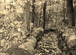 Szary + Sepia