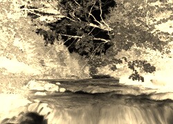 Sepia + Negatyw