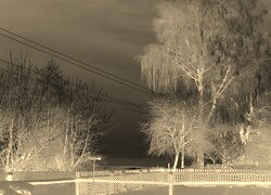 Sepia + Negatyw