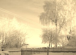 Sepia
