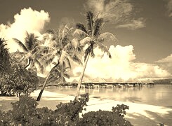 Szary + Sepia