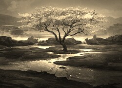 Szary + Sepia