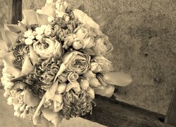 Szary + Sepia