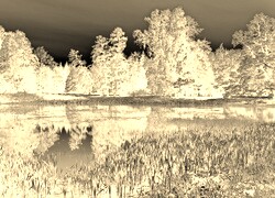 Sepia + Negatyw