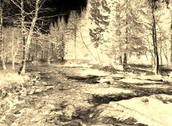 Sepia + Negatyw