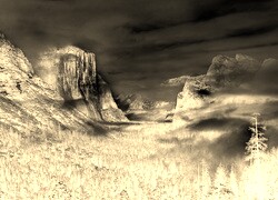 Sepia + Negatyw