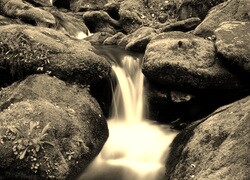 Sepia