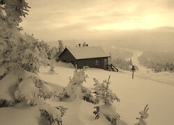 Sepia