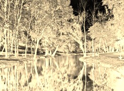 Sepia + Negatyw