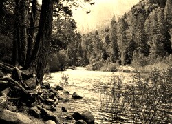Sepia