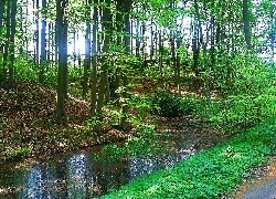 Oryginalny obrazek