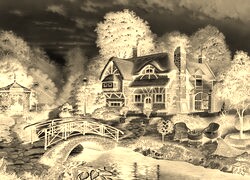Sepia + Negatyw