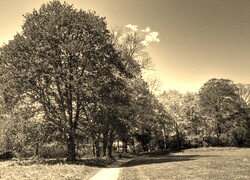 Sepia