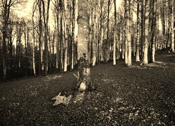 Sepia