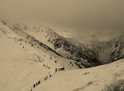 Sepia