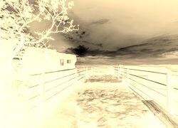 Sepia + Negatyw