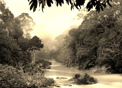 Szary + Sepia