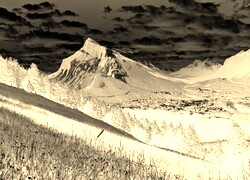 Sepia + Negatyw